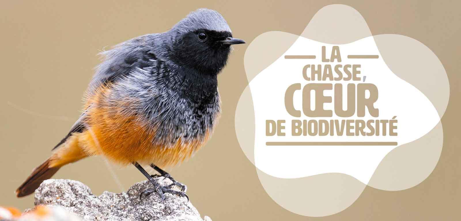 manifeste chasse biodiversité
