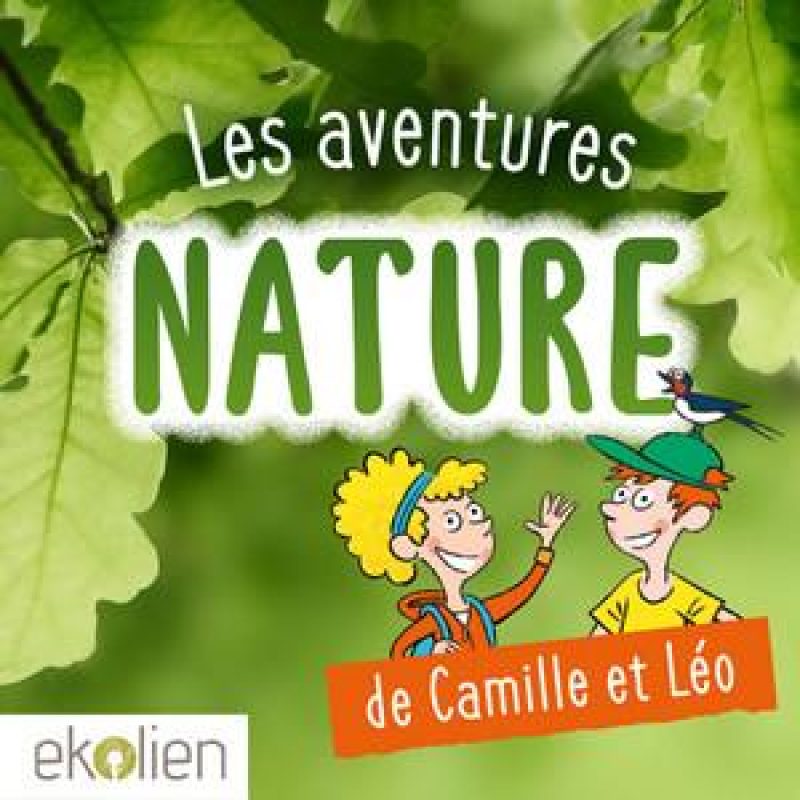 #2 Panique à la ruche